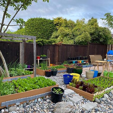 Xanadu 世外桃源 Villa Tsawwassen Eksteriør bilde