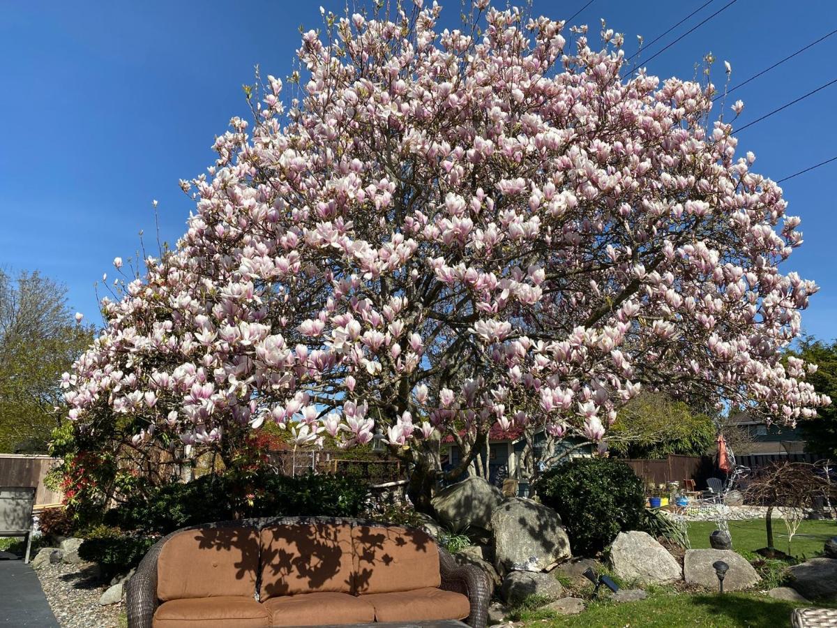 Xanadu 世外桃源 Villa Tsawwassen Eksteriør bilde